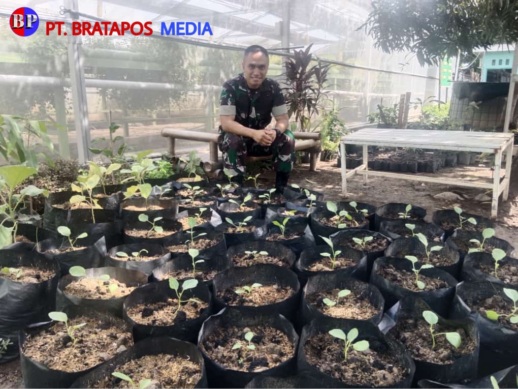 Cek Rumah Ketahanan Pangan, Dandim 0716/Demak Bagikan Tips Merawat Tanaman