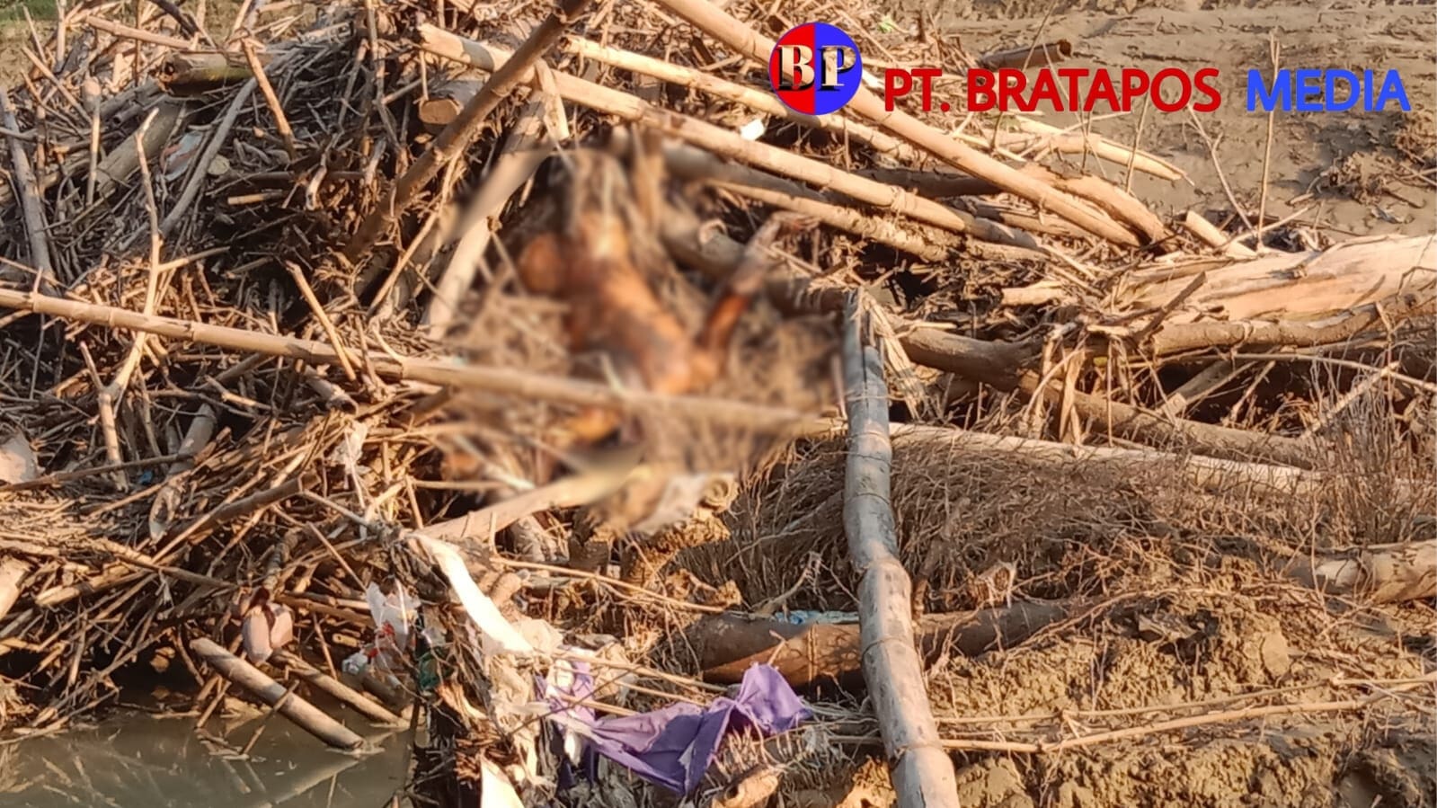 Tragiss! Warga Grobogan Kembali Digegerkan Penemuan Sesosok Mayat Terapung di Sungai Lusi