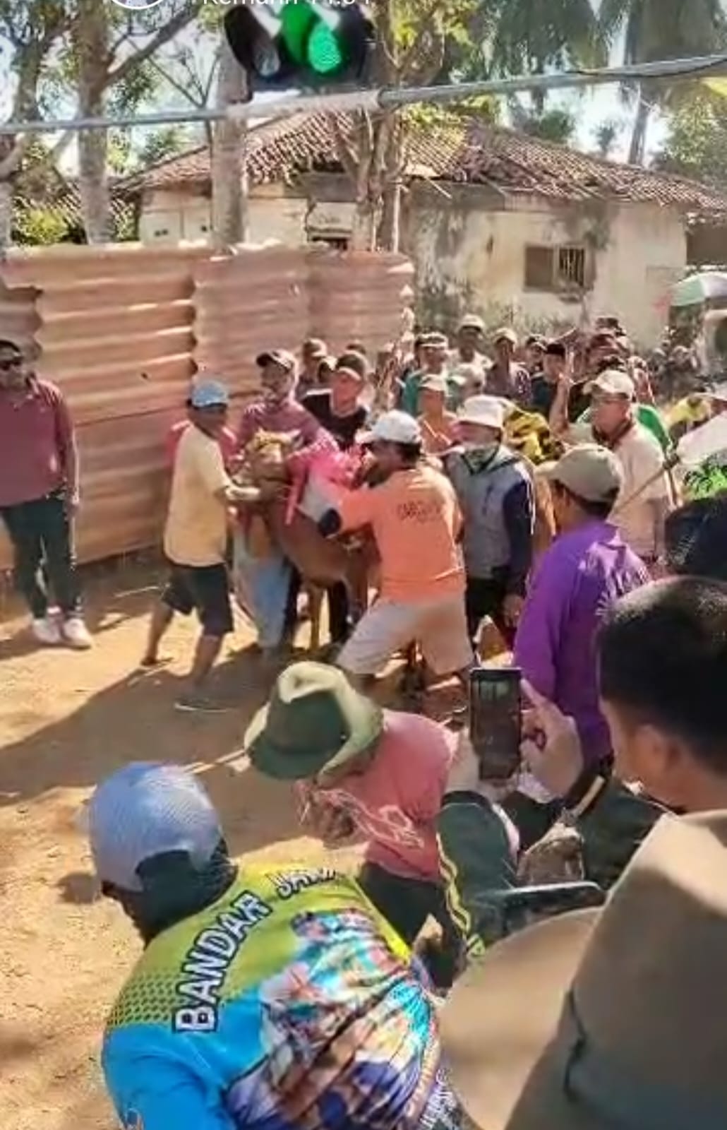 Bupati Sumenep: Kejuaraan Kerapan Sapi Adalah Kebudayaan Dan Tradisi Warisan Tak Ternilai