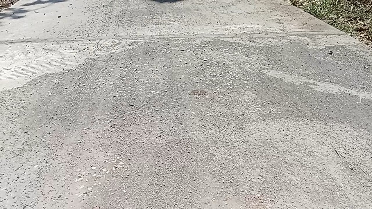 Ironis' Rabat Beton Didesa Kebun Sareh Rusak Parah, Diduga Mark-Up Anggaran Demi Meraup Keuntungan
