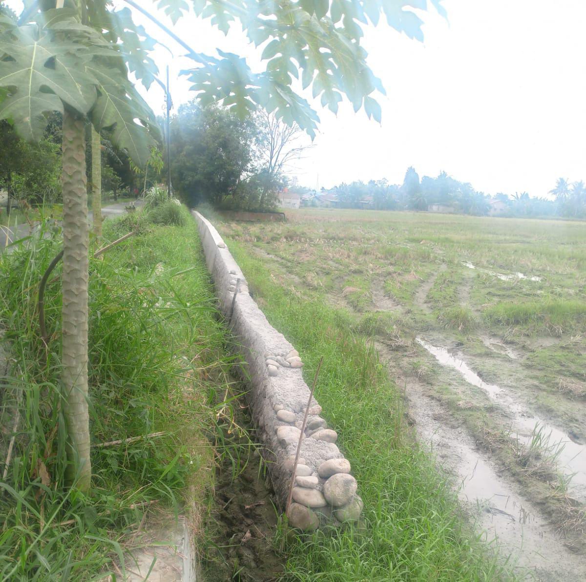 Mangkraknya Proyek Pembangunan Desa Tanjung Mulia, Kecamatan Tanjung Morawa