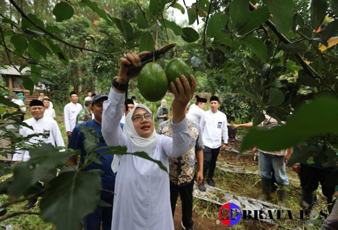 Ngantor di Desa Bumiharjo Glenmore, Bupati Ipuk Gali Berbagai Potensi Pertanian