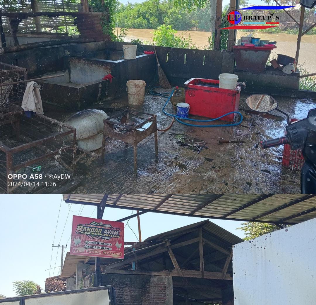 Kangkangi Aturan Demi Keuntungan Lebih, Bos Ayam: Stok Non Subsidi Kosong