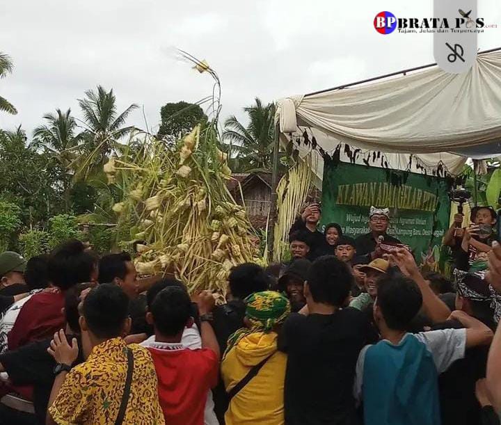 Gunungan Ketupat isi Uang.!! Uniknya "Tradisi Gelar Pitu" Hingga Warga Berebut Berkah