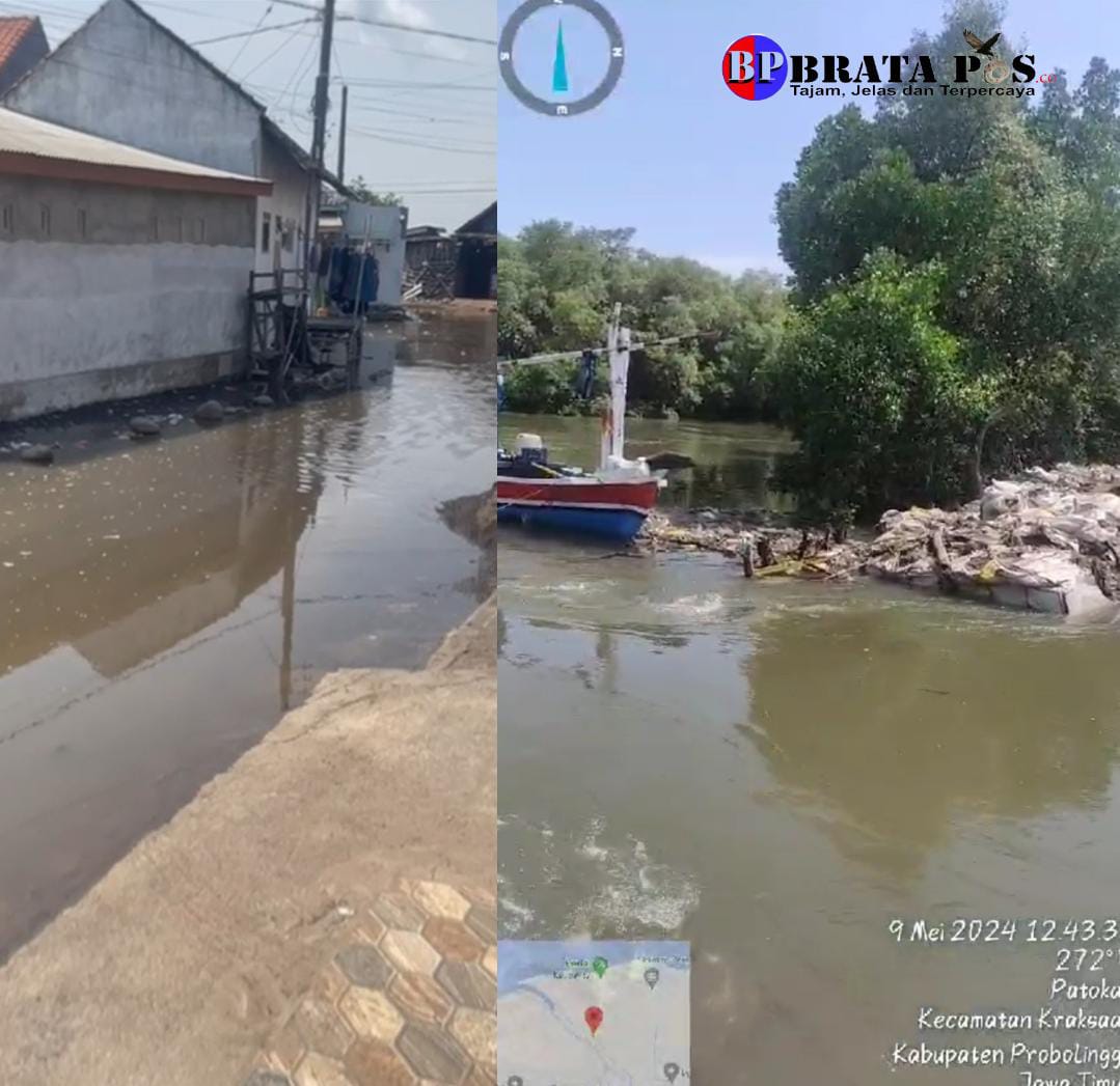 Banjir Rob Kembali Melanda Desa Kalibuntu Kraksaan, Disoroti Anggota Dewan, Pj. Bupati Ugas Langsung Merespon Cepat, Kades Kalibuntu Mengklarifikasi