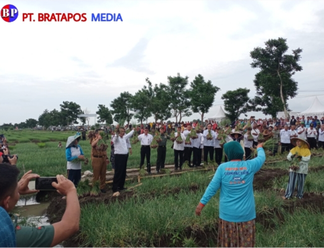 Pangdam IV/Diponegoro Bersama Menteri Pertanian Panen Raya Bawang di Brebes