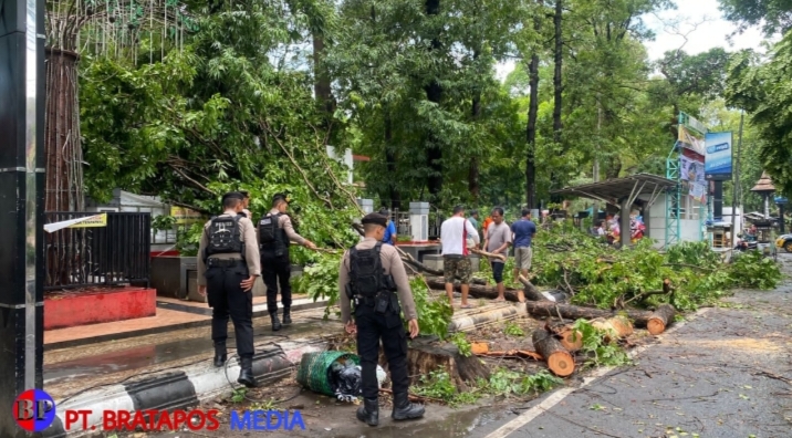 Cepat Tanggap Polres Kudus Bantu Evakuasi Pohon Tumbang