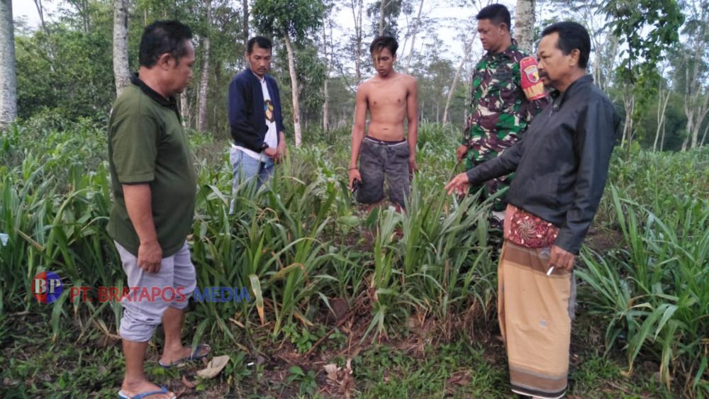 Bayi Perempuan di Blitar Dibuang di Pekarangan, Polsek Ponggok Polres Blitar Kota Lakukan Penyelidikan