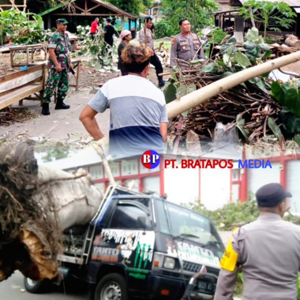 Polsek Sukorejo Blitar Kota Sigap Bantu Mobil Warga Tertimpa Pohon Tumbang Akibat Angin Kencang