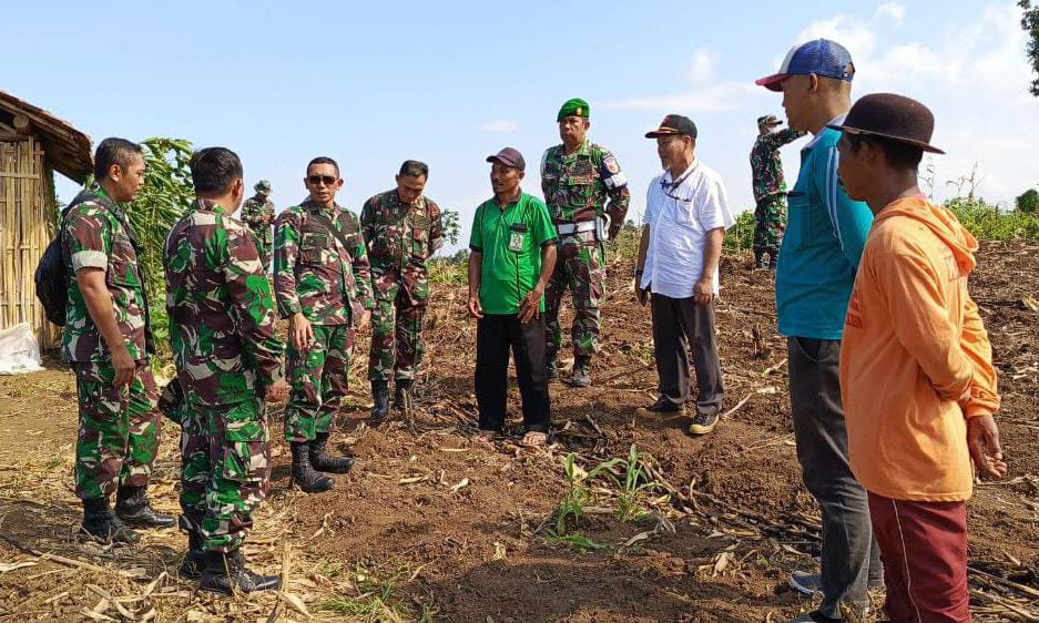 Perkuat Ketahanan Pangan, Dandim 0825/Banyuwangi Pimpin Tinjau Lahan Pertanian