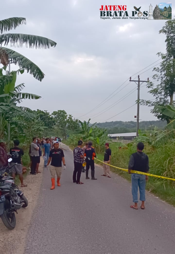 Polresta Pati Selidiki Kasus Penganiayaan Korban Meninggal di Jalan Desa Prawoto Sukolilo