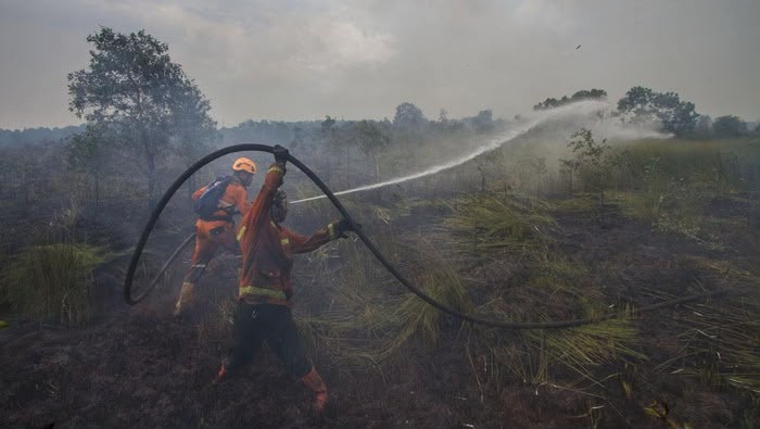 Antisipasi Karhutla, PTPN IV PalmCo Perkuat Deteksi Dini dan Patroli di Sumatera-Kalimantan