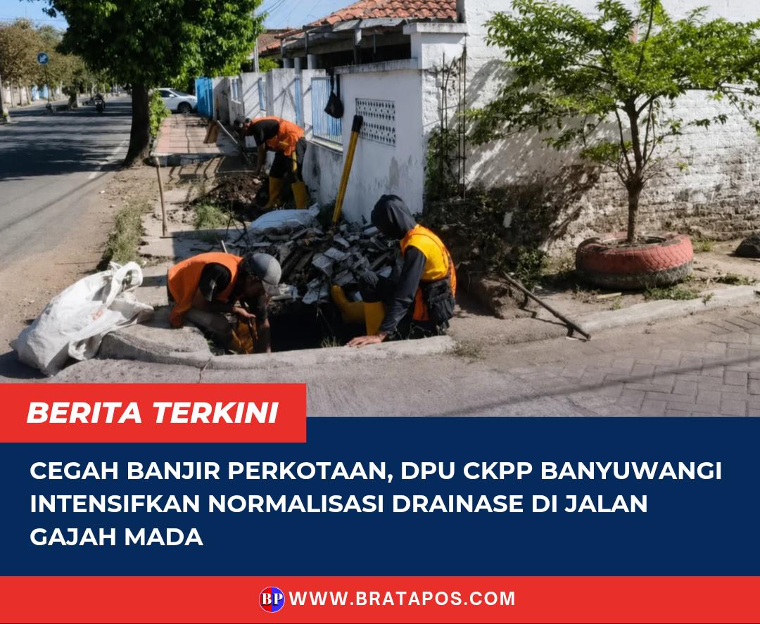 Cegah Banjir Perkotaan, DPU CKPP Banyuwangi Intensifkan Normalisasi Drainase di Jalan Gajah Mada