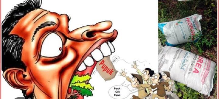 Di Duga Akibat kios Pupuk Subsidi Jual Di Atas HET, Berakibat Mahalnya Harga Pupuk Di Kecamatan Parengan