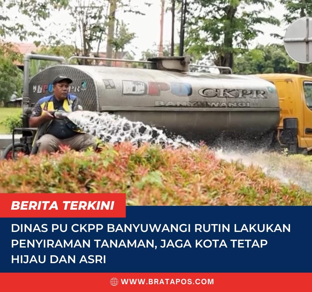 Dinas PU CKPP Banyuwangi Rutin Lakukan Penyiraman Tanaman, Jaga Kota Tetap Hijau dan Asri