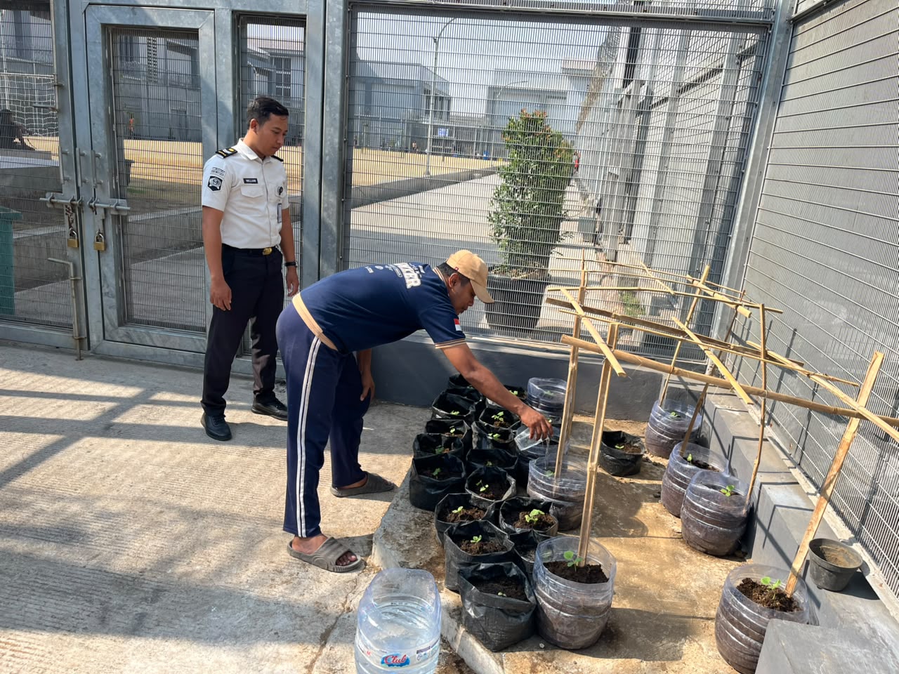 Dukung Ketahanan Pangan, Warga Binaan Rutan Surabaya Budidaya Hortikultura untuk Dapur Rutan