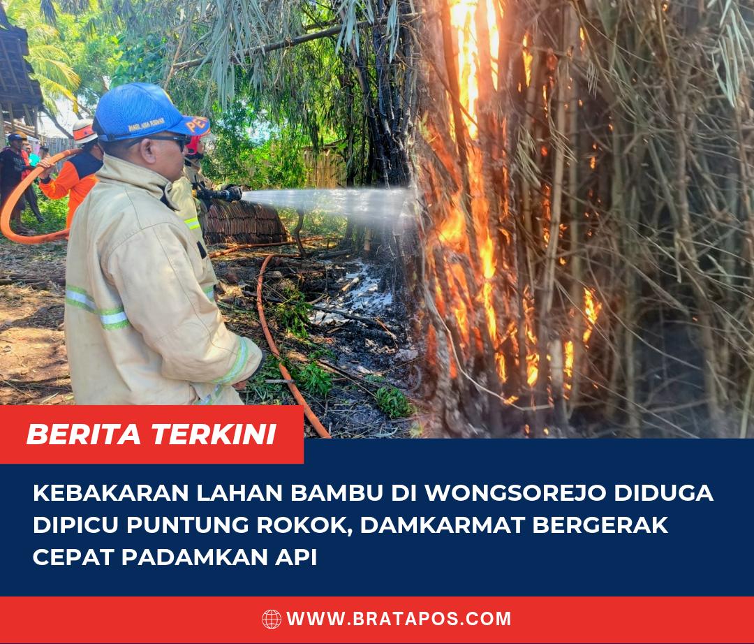 Kebakaran Lahan Bambu di Wongsorejo Diduga Dipicu Puntung Rokok, Damkarmat Bergerak Cepat Padamkan Api