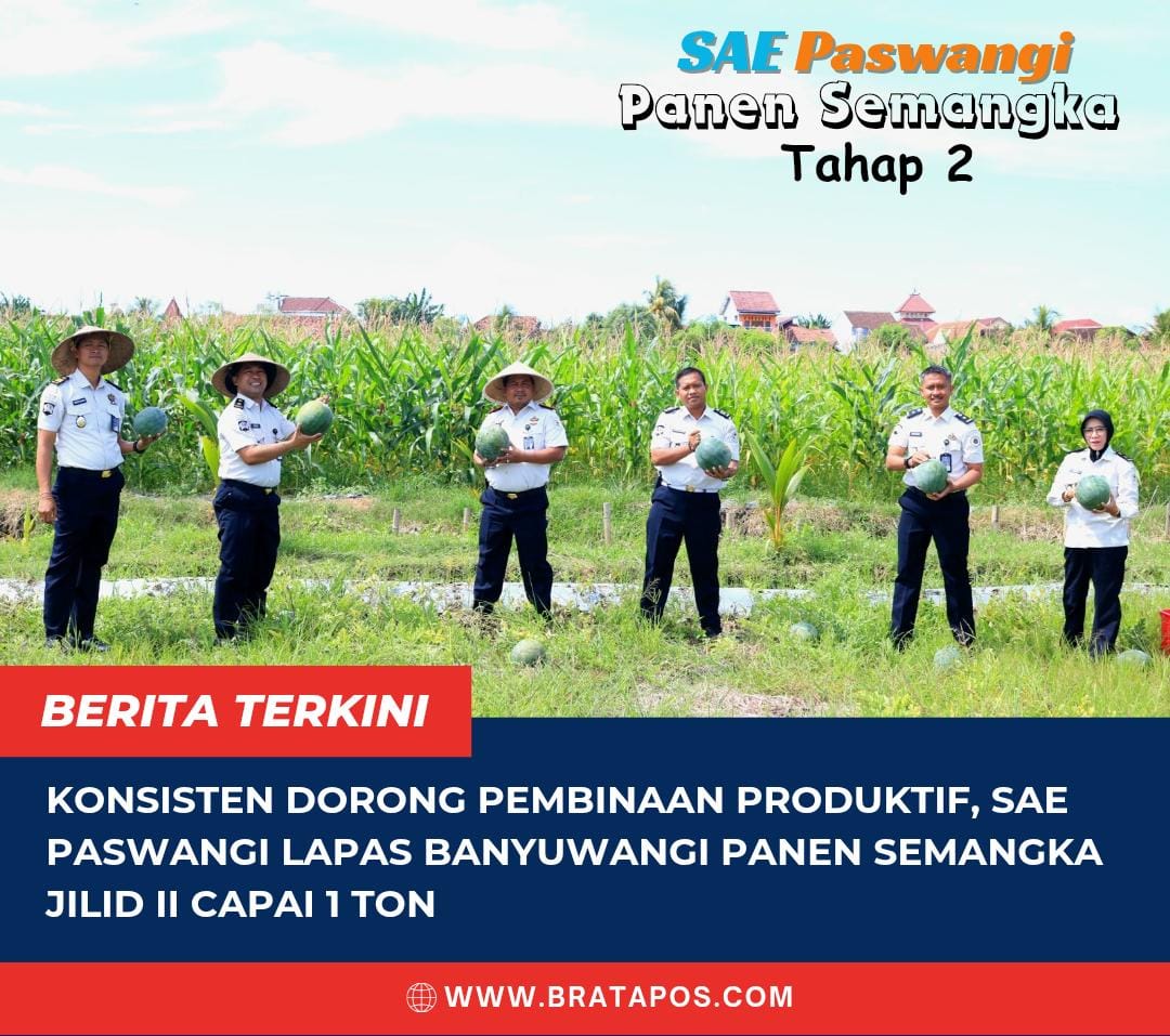 Konsisten Dorong Pembinaan Produktif, SAE Paswangi Lapas Banyuwangi Panen Semangka Jilid II Capai 1 Ton