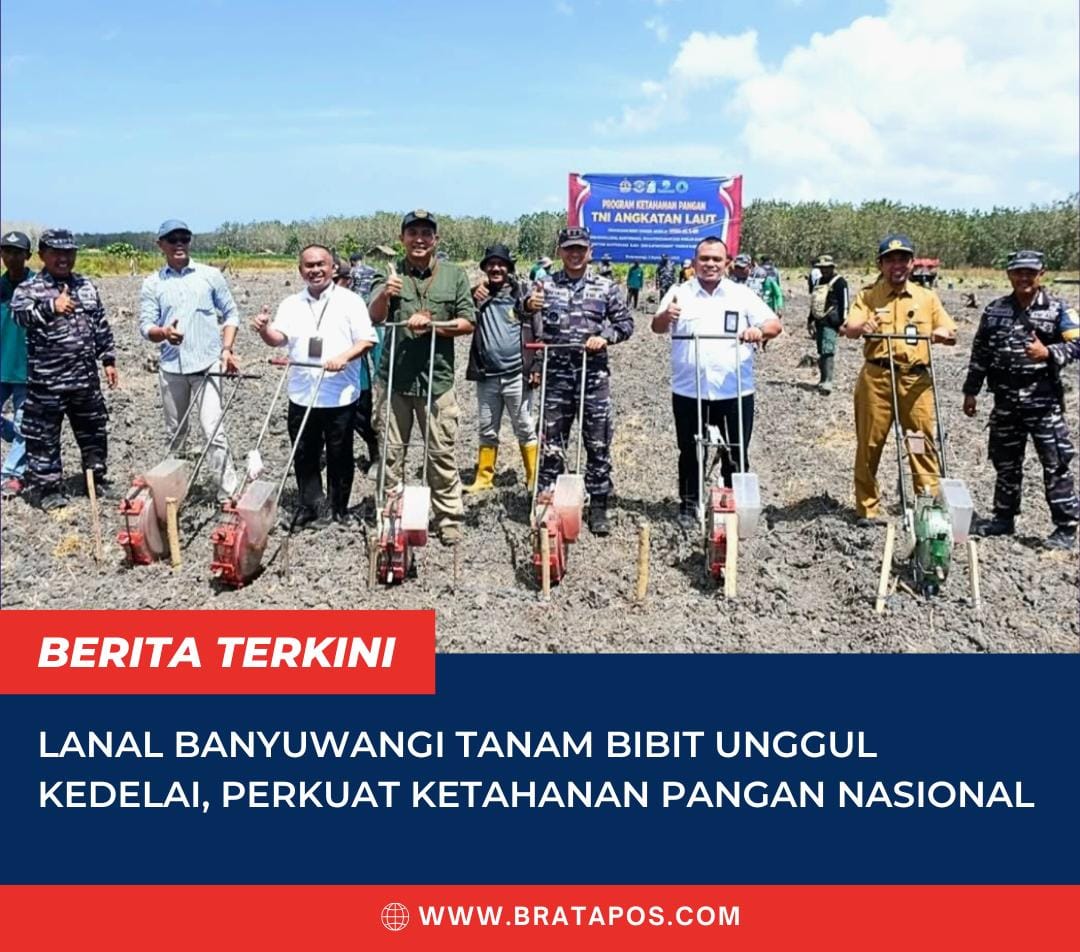 Lanal Banyuwangi Tanam Bibit Unggul Kedelai, Perkuat Ketahanan Pangan Nasional