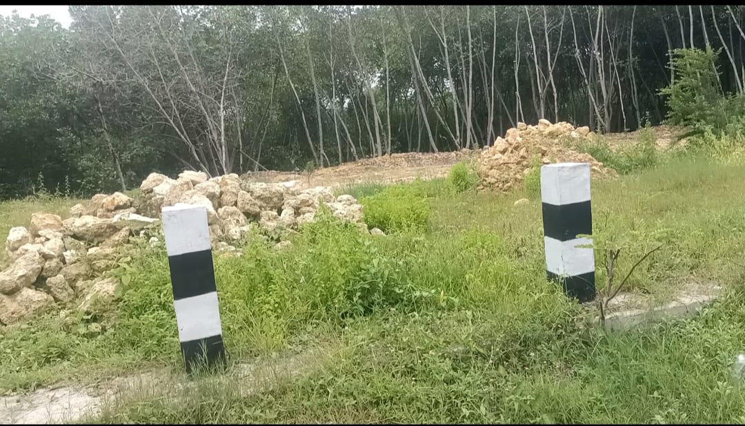 Merusak Ekosistem Mangrove, Bangunan Liar Kian Menjamur di Kecamatan Camplong