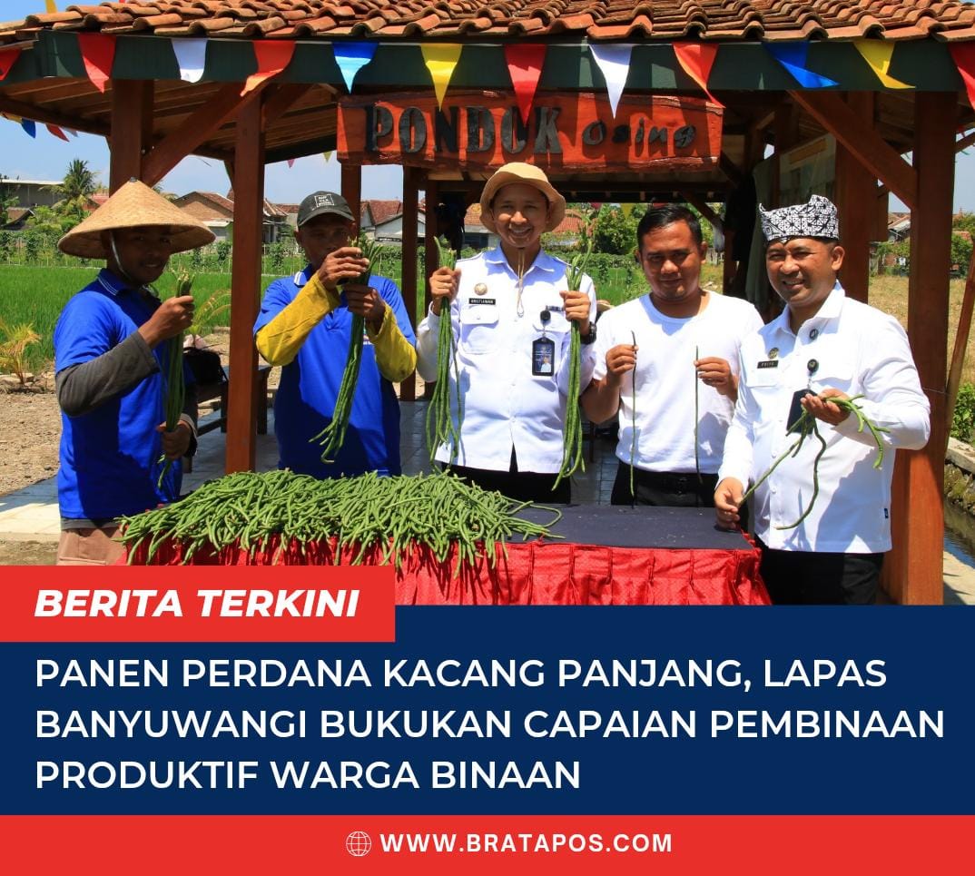 Panen Perdana Kacang Panjang, Lapas Banyuwangi Bukukan Capaian Pembinaan Produktif Warga Binaan