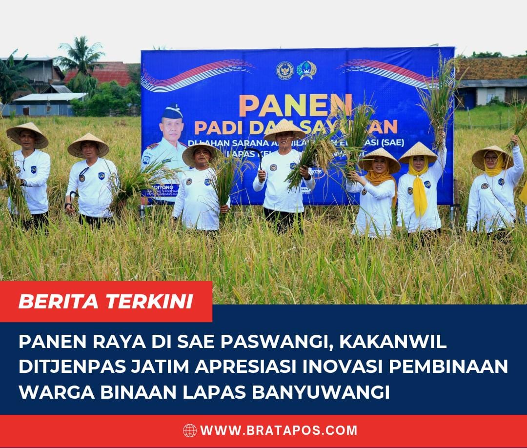 Panen Raya di SAE Paswangi, Kakanwil Ditjenpas Jatim Apresiasi Inovasi Pembinaan Warga Binaan Lapas Banyuwangi