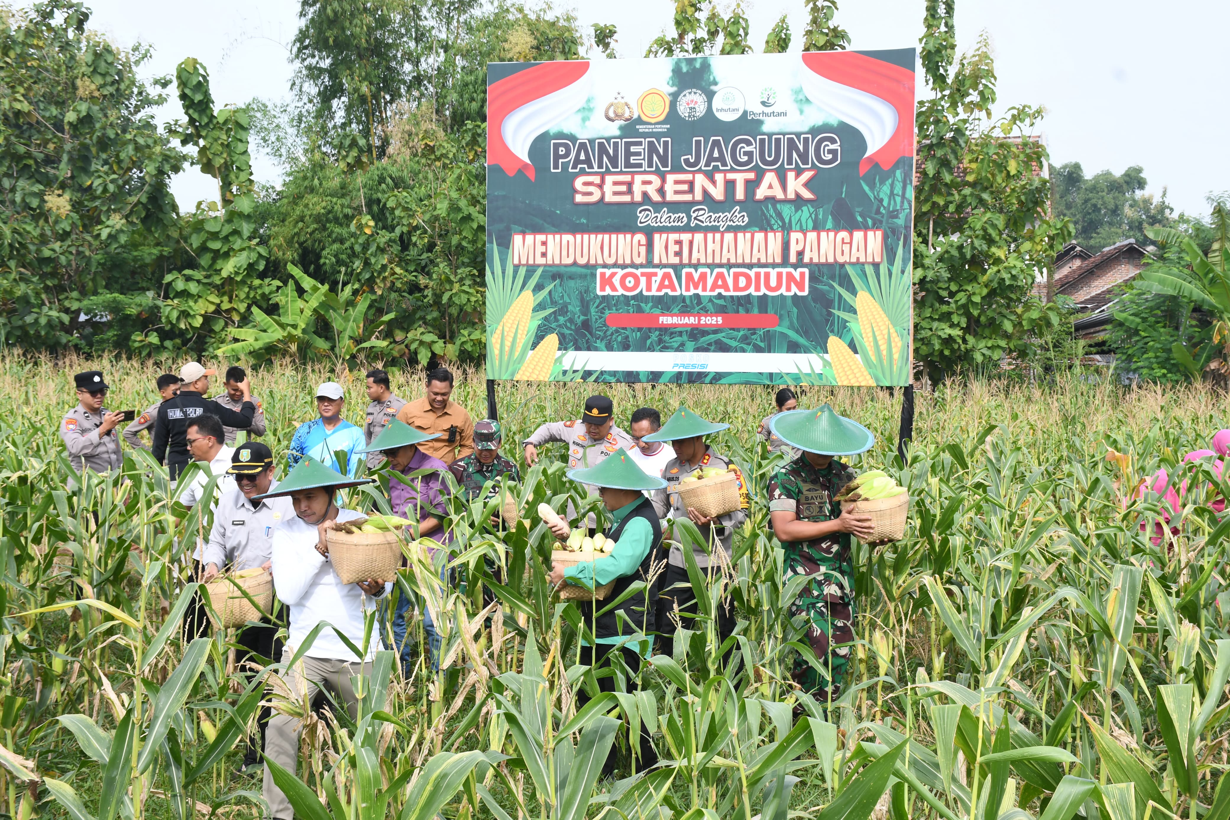 Panen Raya Jagung Serentak di Kota Madiun, Dukungan Terhadap Program Asta Cita Presiden RI dan Ketahanan Pangan Nasional