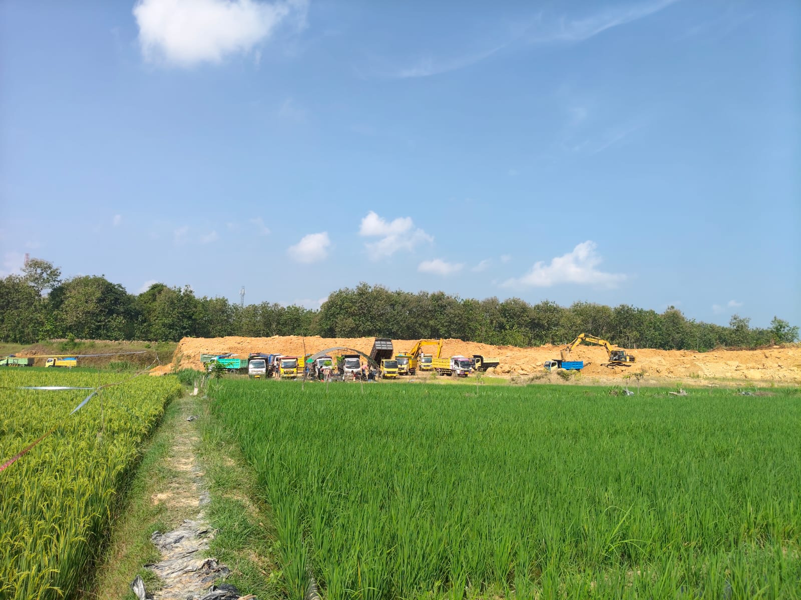 ‎Petani Bojonegoro Berterima Kasih ke CV LISA: Tanah Kering Kini Menjadi Sawah Subur