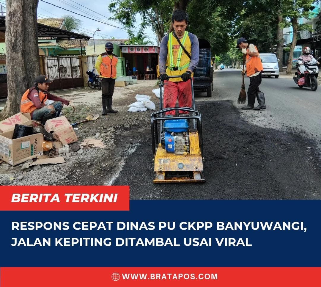 Respons Cepat Dinas PU CKPP Banyuwangi, Jalan Kepiting Ditambal Usai Viral