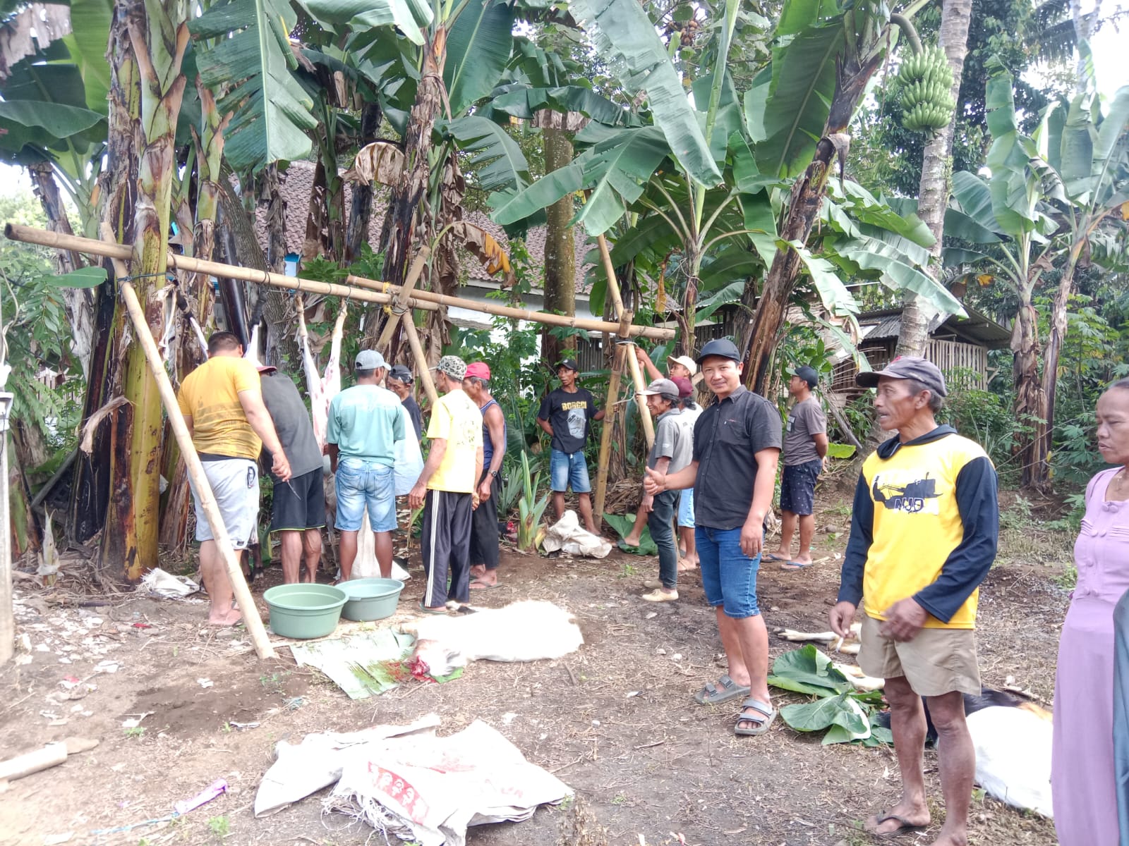 Semangat Idul Adha, Merpati Pos Sembelih 5 Kambing Etawa dan Bagikan 350 Paket Daging