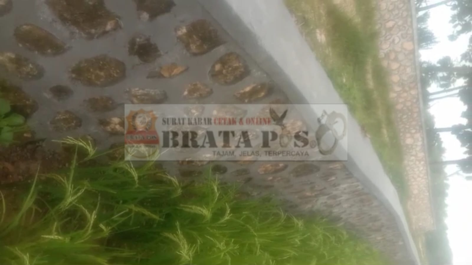 Terindikasi Penyimpangan, Proyek Plengsengan Desa Torjunan Diduga Ladang Korupsi