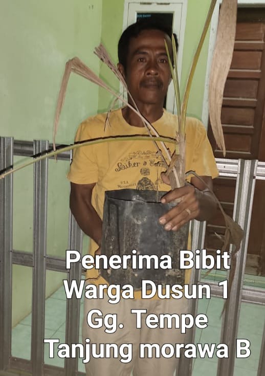 Warga Desa Tanjung Morawa B Keluhkan Pengadaan Bibit Kelapa dan Jeruk Nipis yang Tidak Sesuai Kebutuhan